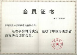 知识产权代理 创新成果的护航者与市场价值的转化器